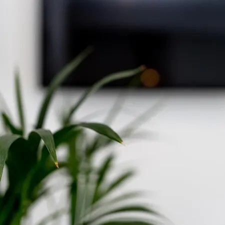 Apartman Odiseja Zára